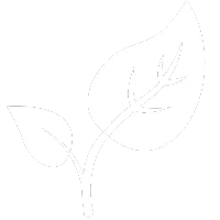 Environment Environment