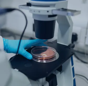 featured-image featured-image